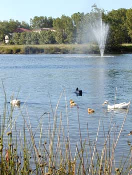 Stadtpark Cesenatico in der Nhe des Hotels.