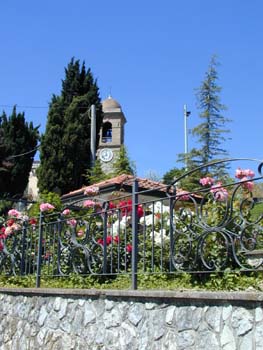 Fast jeder Garten hat Rosen